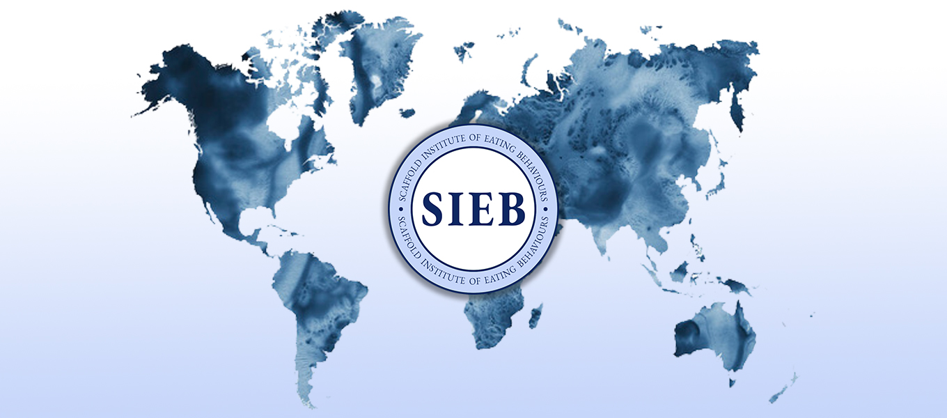 SIEB banner